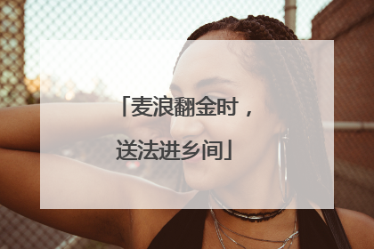麦浪翻金时，送法进乡间
