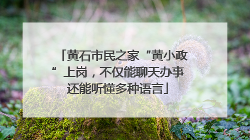 黄石市民之家“黄小政”上岗，不仅能聊天办事还能听懂多种语言