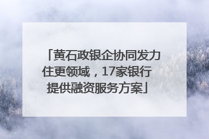 黄石政银企协同发力住更领域，17家银行提供融资服务方案