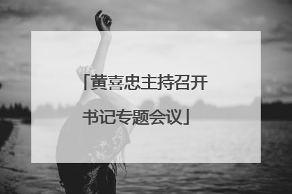 黄喜忠主持召开书记专题会议