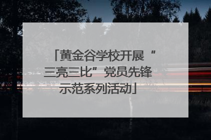黄金谷学校开展“三亮三比”党员先锋示范系列活动
