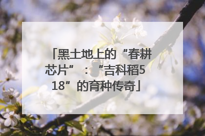黑土地上的“春耕芯片”：“吉科稻518”的育种传奇