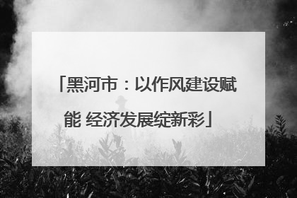 黑河市：以作风建设赋能 经济发展绽新彩