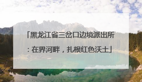黑龙江省三岔口边境派出所：在界河畔，扎根红色沃土