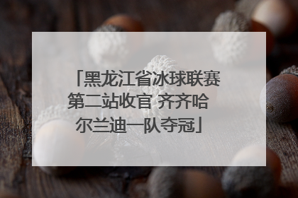 黑龙江省冰球联赛第二站收官 齐齐哈尔兰迪一队夺冠