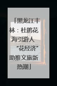 黑龙江丰林：杜鹃花海引游人 “花经济”助推文旅新热潮