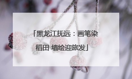 黑龙江抚远：画笔染稻田 墙绘迎旅发
