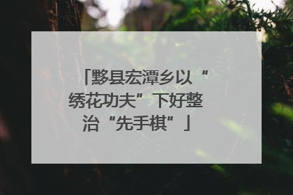黟县宏潭乡以“绣花功夫”下好整治“先手棋”