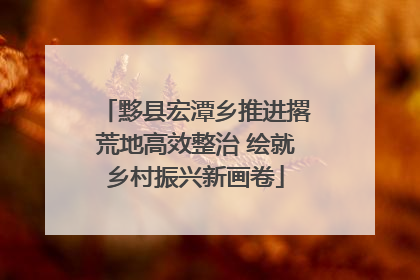 黟县宏潭乡推进撂荒地高效整治 绘就乡村振兴新画卷