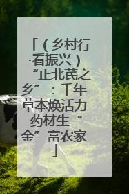 （乡村行·看振兴）“正北芪之乡”：千年草本焕活力 药材生“金”富农家