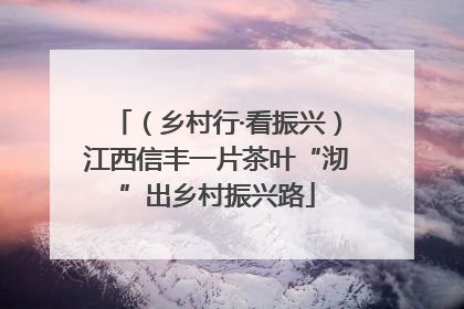 （乡村行·看振兴）江西信丰一片茶叶“沏”出乡村振兴路