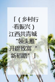 （乡村行·看振兴）江西共青城“领头雁”开辟致富“新稻路”