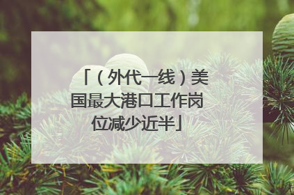 （外代一线）美国最大港口工作岗位减少近半