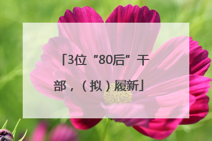 3位“80后”干部，（拟）履新
