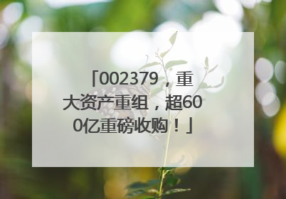 002379，重大资产重组，超600亿重磅收购！