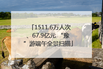 1511.6万人次、67.9亿元 “豫”游端午全景扫描