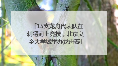 15支龙舟代表队在刺猬河上竞技，北京良乡大学城举办龙舟赛