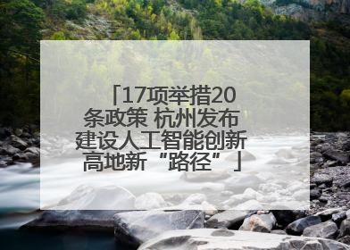 17项举措20条政策 杭州发布建设人工智能创新高地新“路径”