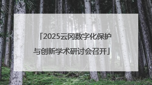 2025云冈数字化保护与创新学术研讨会召开