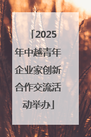 2025年中越青年企业家创新合作交流活动举办