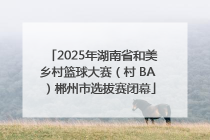 2025年湖南省和美乡村篮球大赛（村 BA）郴州市选拔赛闭幕
