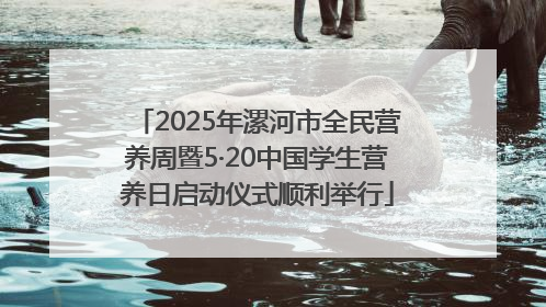 2025年漯河市全民营养周暨5·20中国学生营养日启动仪式顺利举行