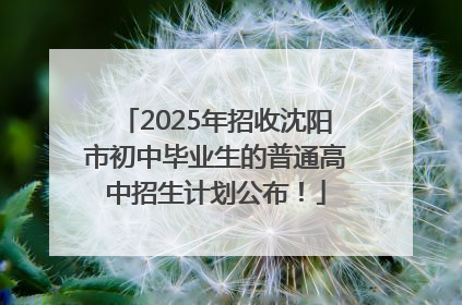 2025年招收沈阳市初中毕业生的普通高中招生计划公布！