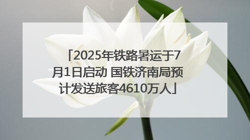 2025年铁路暑运于7月1日启动 国铁济南局预计发送旅客4610万人
