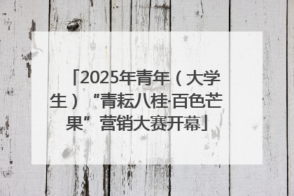 2025年青年（大学生）“青耘八桂·百色芒果”营销大赛开幕