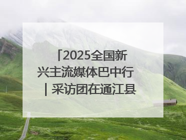 2025全国新兴主流媒体巴中行｜采访团在通江县瞻仰全国最大红军烈士陵园