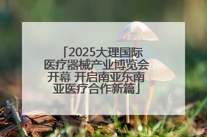 2025大理国际医疗器械产业博览会开幕 开启南亚东南亚医疗合作新篇