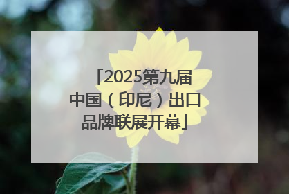 2025第九届中国（印尼）出口品牌联展开幕