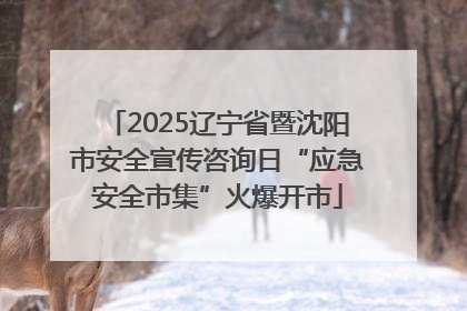 2025辽宁省暨沈阳市安全宣传咨询日“应急安全市集”火爆开市