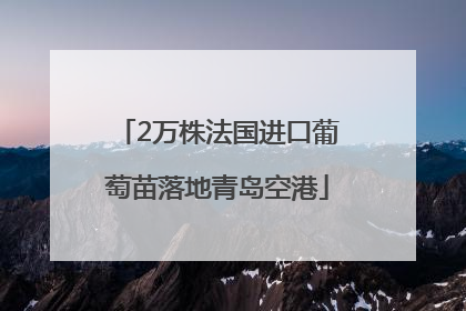2万株法国进口葡萄苗落地青岛空港