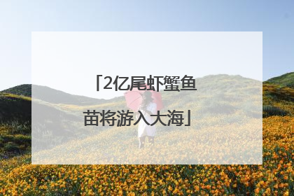 2亿尾虾蟹鱼苗将游入大海