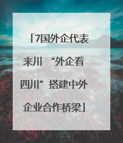 7国外企代表来川 “外企看四川”搭建中外企业合作桥梁