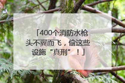 400个消防水枪头不翼而飞，偷这些设施“真刑”！