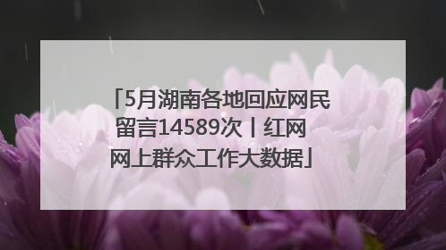 5月湖南各地回应网民留言14589次丨红网网上群众工作大数据