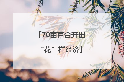 70亩百合开出“花”样经济