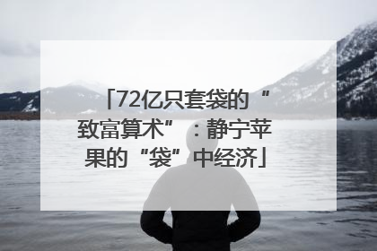 72亿只套袋的“致富算术”：静宁苹果的“袋”中经济