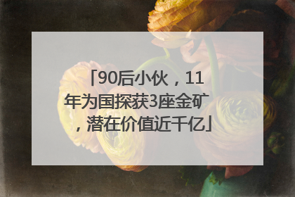 90后小伙，11年为国探获3座金矿，潜在价值近千亿
