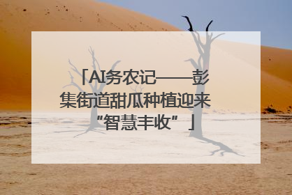 AI务农记——彭集街道甜瓜种植迎来“智慧丰收”