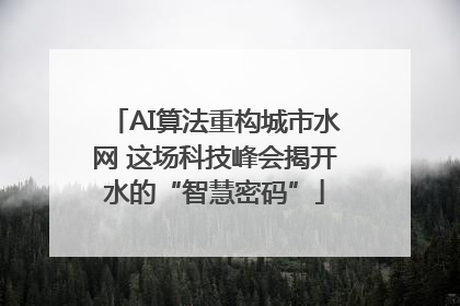 AI算法重构城市水网 这场科技峰会揭开水的“智慧密码”