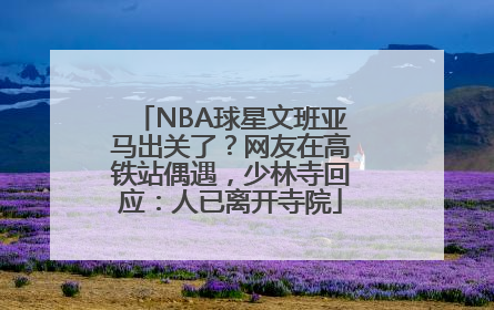 NBA球星文班亚马出关了？网友在高铁站偶遇，少林寺回应：人已离开寺院