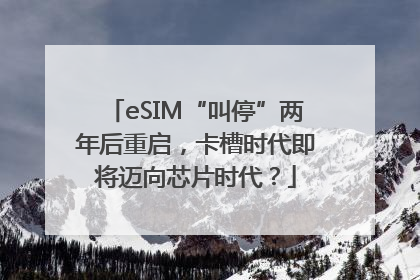 eSIM“叫停”两年后重启，卡槽时代即将迈向芯片时代？